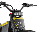 Jasion Patrol Ebike