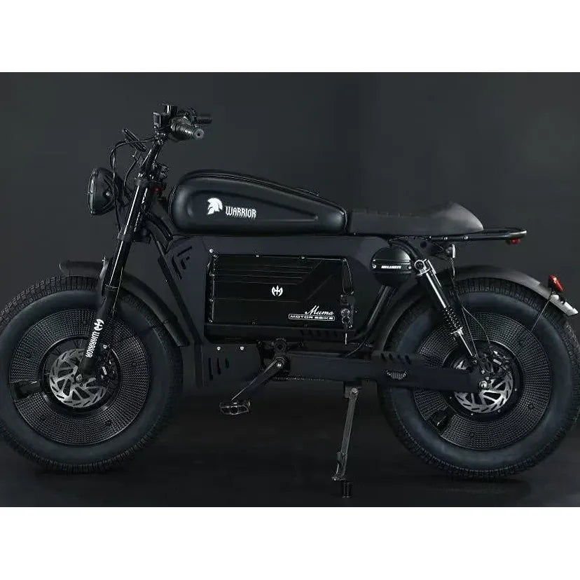 SoverSky Black Warrior Electric Fat Tire Bike