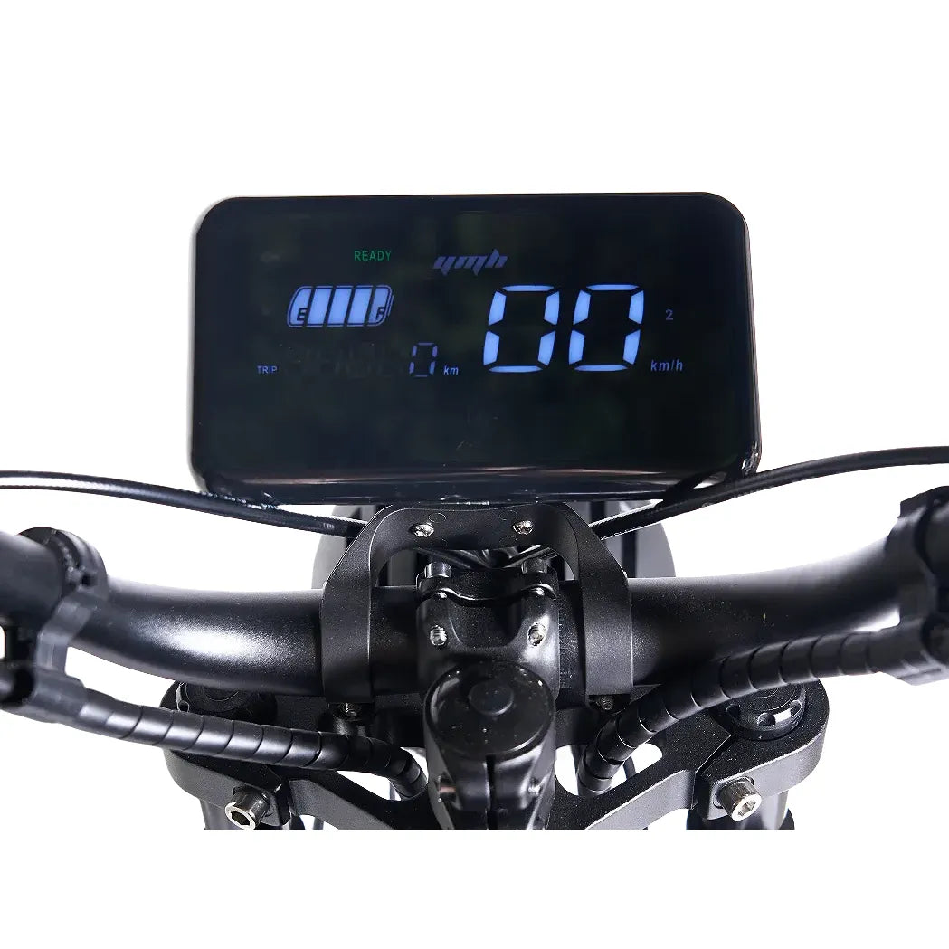 SoverSky Black Warrior Electric Fat Tire Bike
