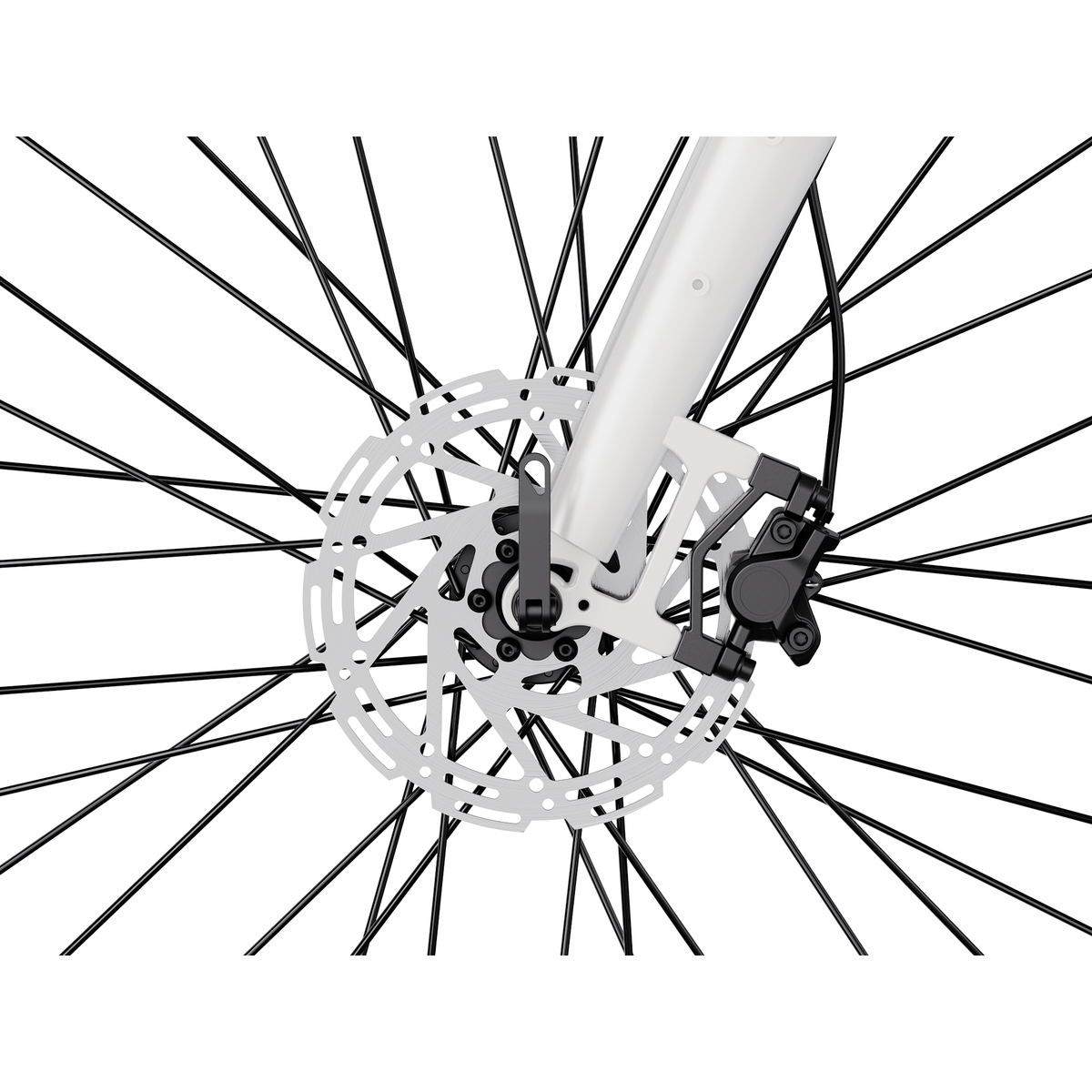 Heybike Venus Ebike