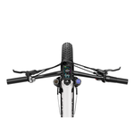 Heybike ALPHA Ebike