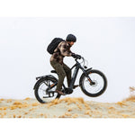 Heybike ALPHA Ebike
