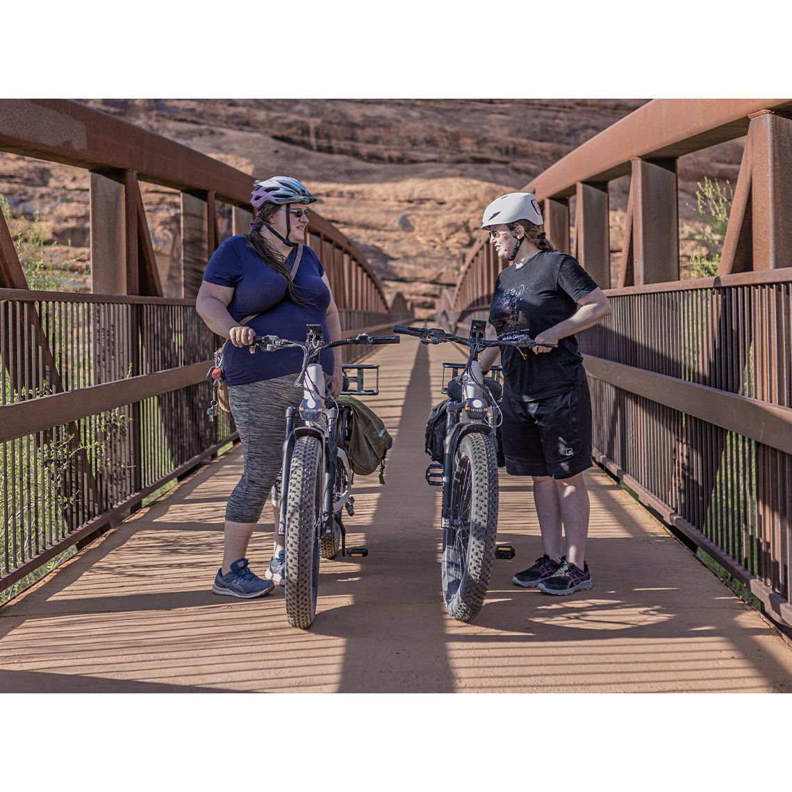 Heybike ALPHA Ebike