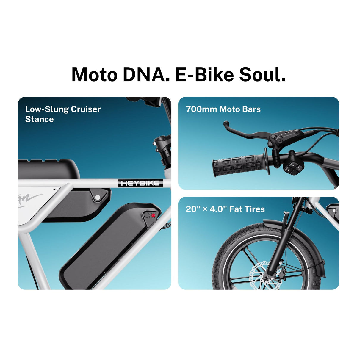 Heybike Titan Ebike