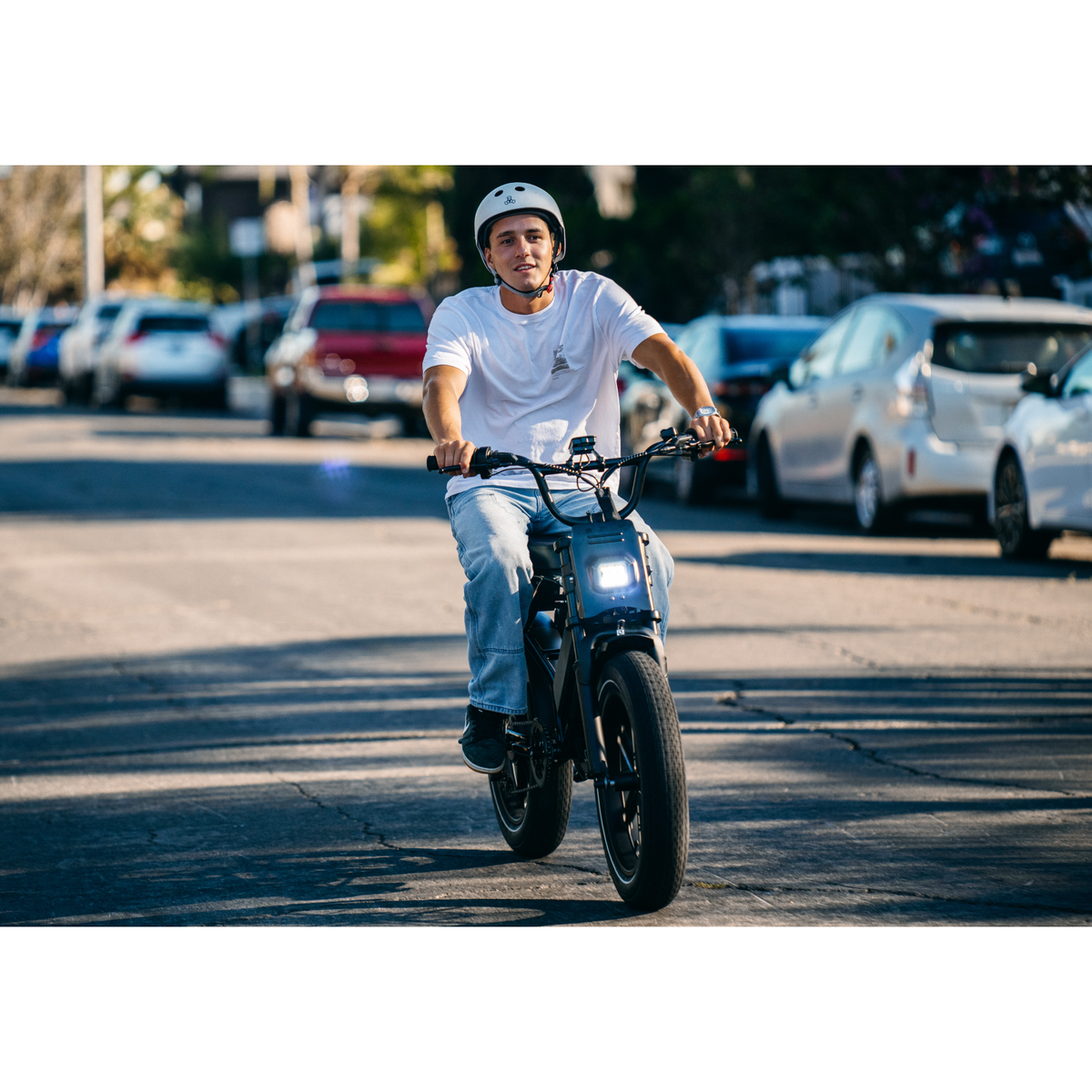 Heybike Titan Ebike