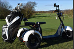 T7.0 Fat Tire Golf Trike Scooter freeshipping - SoverSky