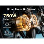 Heybike Titan Ebike