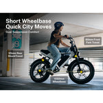 Heybike Titan Ebike