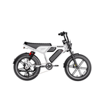 Heybike Titan Ebike