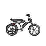 Heybike Titan Ebike