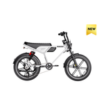 Heybike Titan Ebike