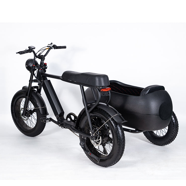 SoverSky Sidecar For Electric Bike