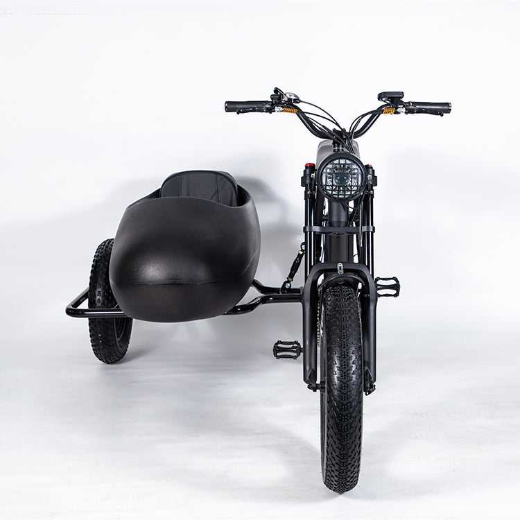 SoverSky Sidecar For Electric Bike