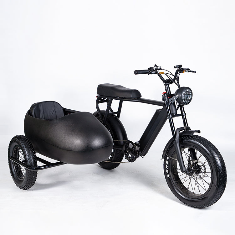 SoverSky Sidecar For Electric Bike